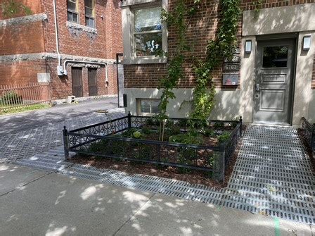 dc metal street tree box fence|Curb Allure .